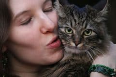 estoy embarazada y tengo un gato