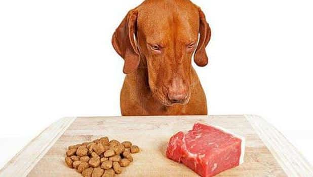 Dieta de alimentos crudos para perros
