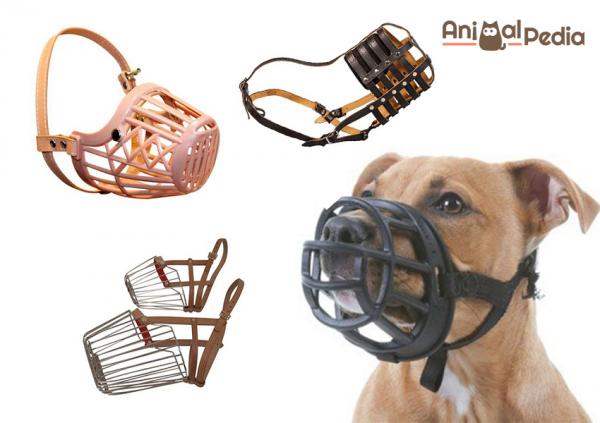 Tipos de bozales de perro - Bozales de perro de cesta o de bastidor