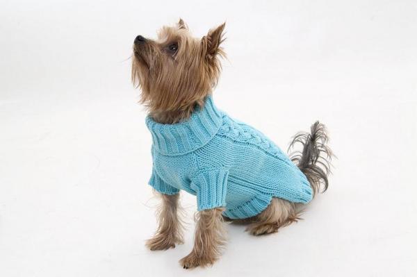 Ropa para perros pequeños - Suéter