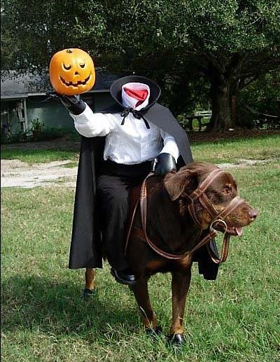 15 disfraces de Halloween para perros - 4. Caballero sin cabeza