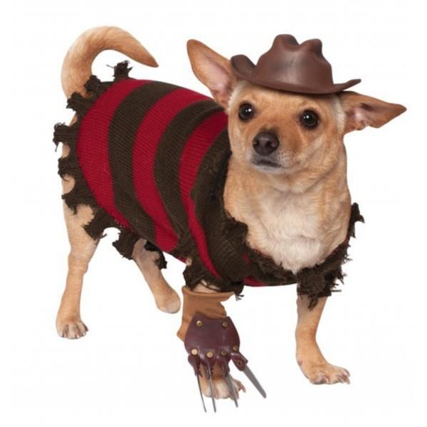 15 disfraces de Halloween para perros - 11. Freddie Krueger