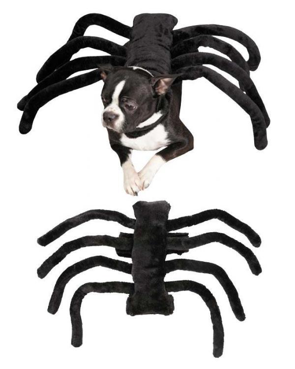 15 disfraces de Halloween para perros - 13. Araña
