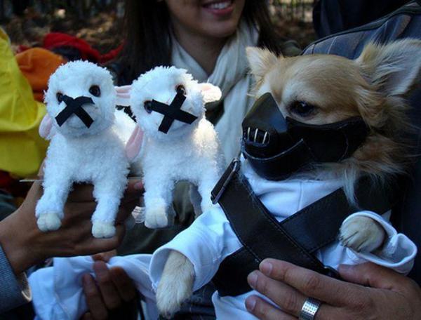 15 disfraces de Halloween para perros - 9. Hannibal Lecter