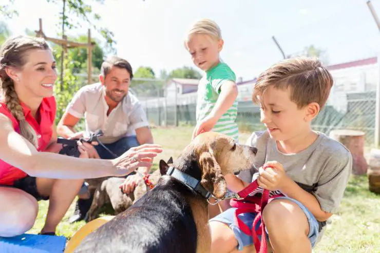 crecer junto con los beneficios de tu perro Los niños y los perros reducen el riesgo de esquizofrenia