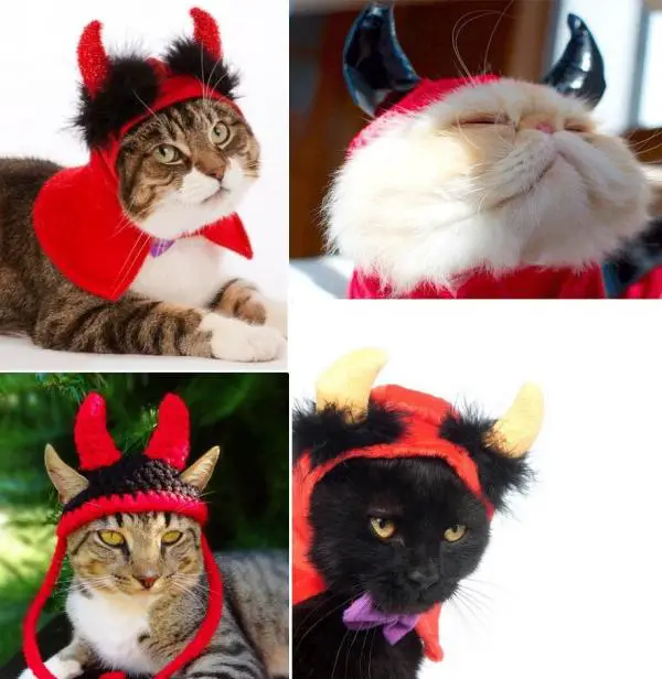 11 disfraces de Halloween para gatos - Vida con Mascotas ▷➡️