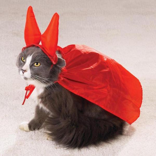 11 disfraces de Halloween para gatos - Diablo - Versión 2