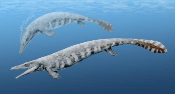 Tipos de dinosaurios marinos: Nombres y fotos - Mosasauri