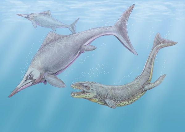 Tipos de dinosaurios marinos: Nombres y fotos - Ictiosaurios