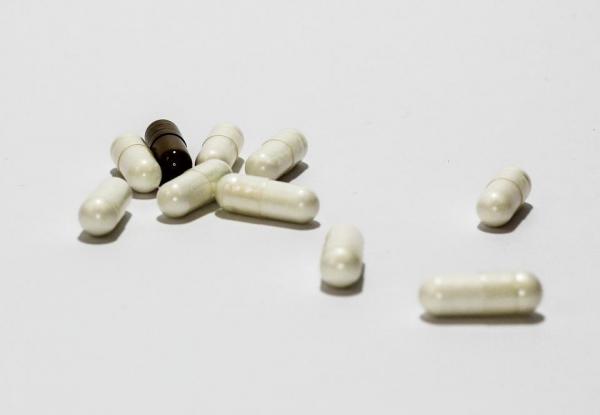 Vitaminas para gatos mayores: cómo y cuándo administrarlas - Suplementos alimenticios para gatos mayores