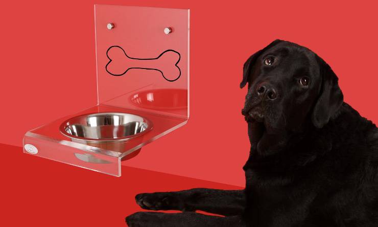 perro con cuenco