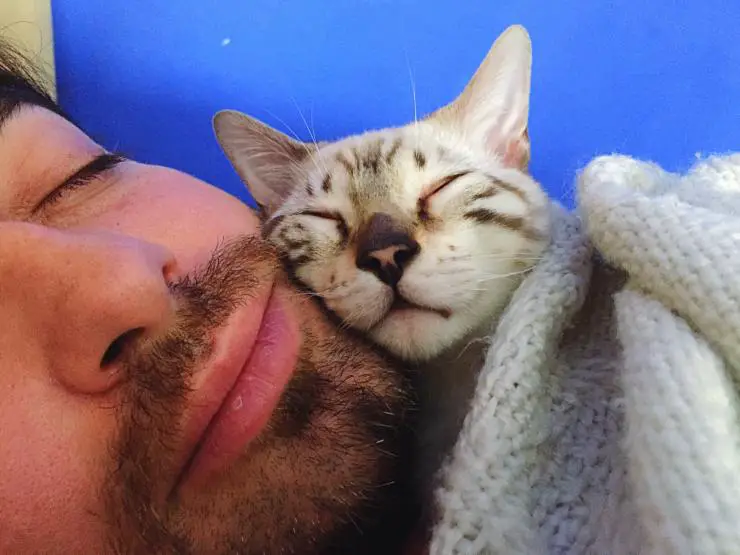 El gato duerme en mi cabeza