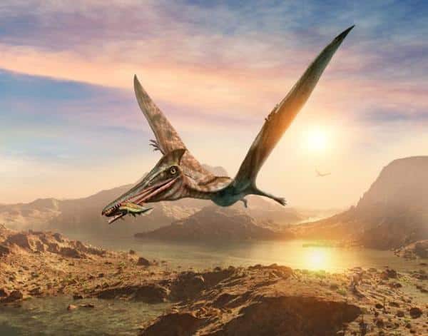 Dinosaurios voladores - Nombres e imágenes