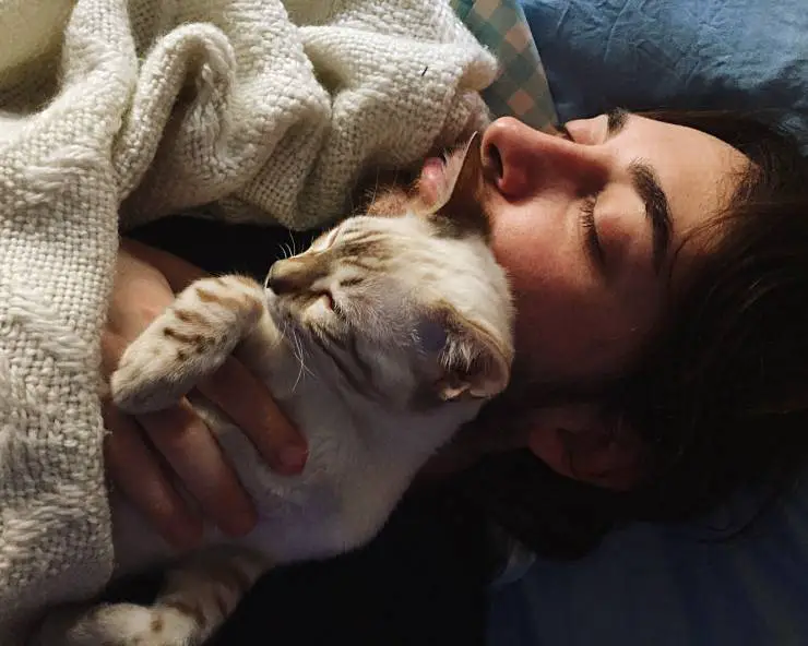 El gato duerme en mi cabeza