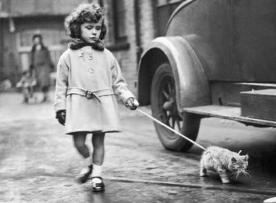 2 de diciembre de 1931: una joven expositora llega con su gatito con correa a la exposición del National Cat Club en Crystal Palace de Londres.  (Foto de Fox Photos / Getty Images)