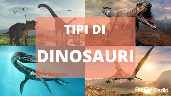 Tipos de dinosaurios - Nombres, características y fotos - Vida con Mascotas  ▷➡️