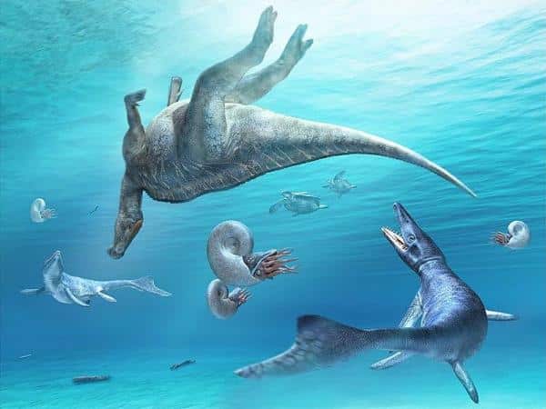 Tipos de dinosaurios marinos: Nombres y fotos