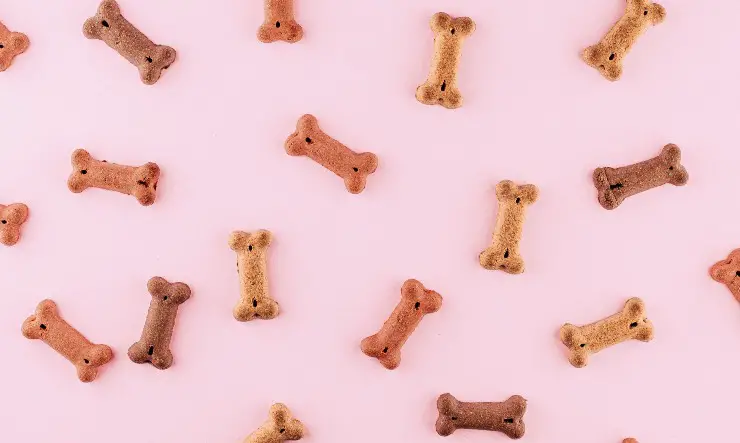 snacks para perros