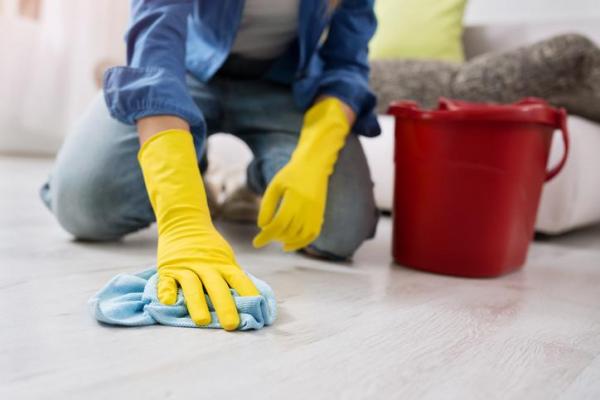 ¿Cómo mantener alejados a los ratones? - Limpieza de la casa
