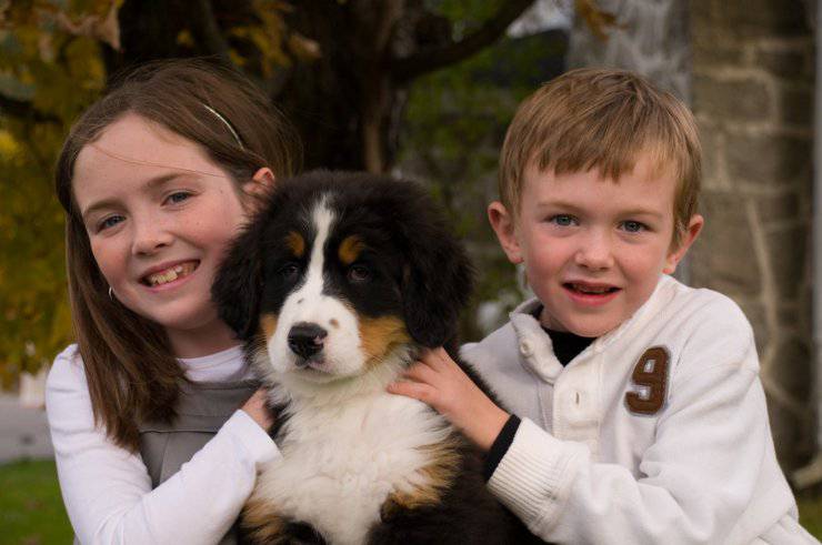 niños con perro
