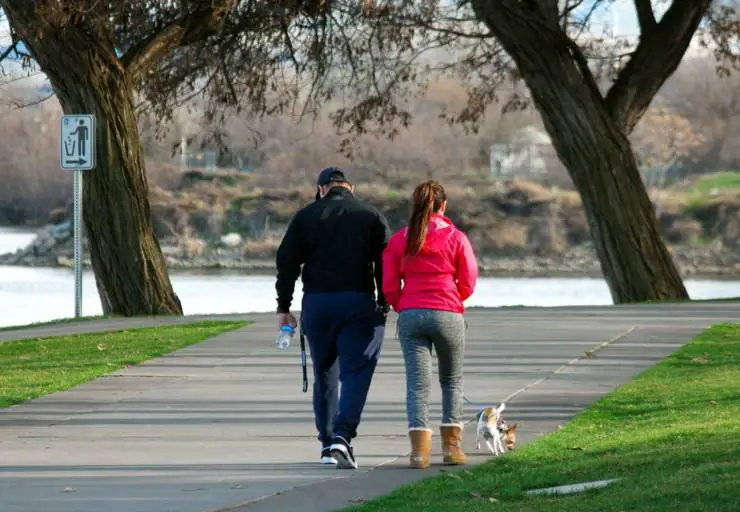 pasear perros pasear pasear