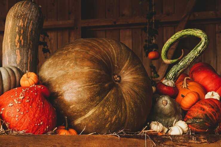 calabazas