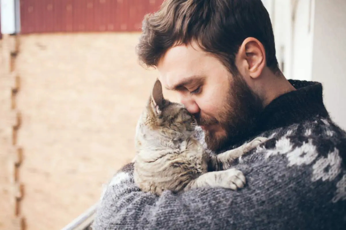 Cómo lidiar con la muerte de tu gato: consejos útiles - Vida con Mascotas ️