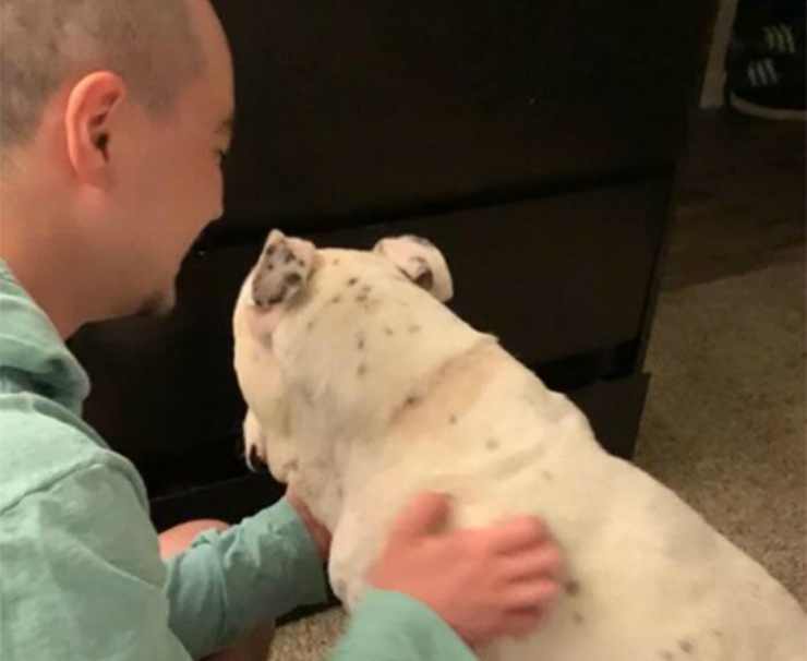 La caricia al perro tímido (foto de Twitter)