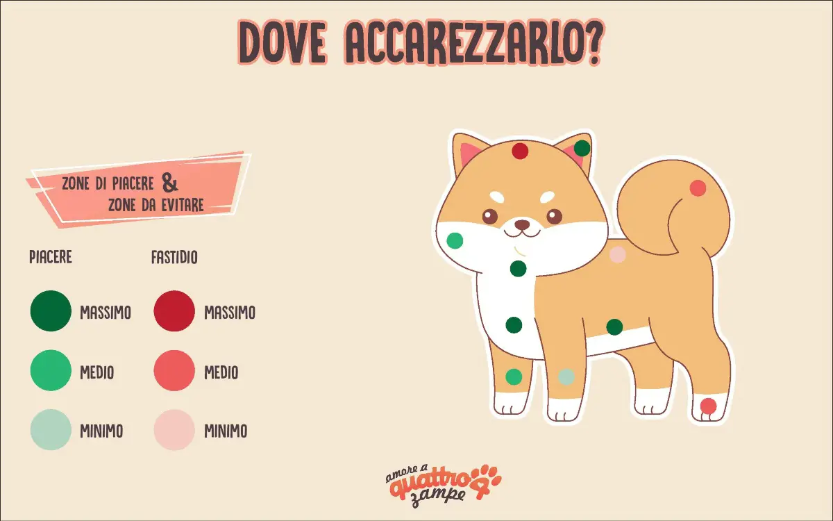 infografías donde acariciar perro