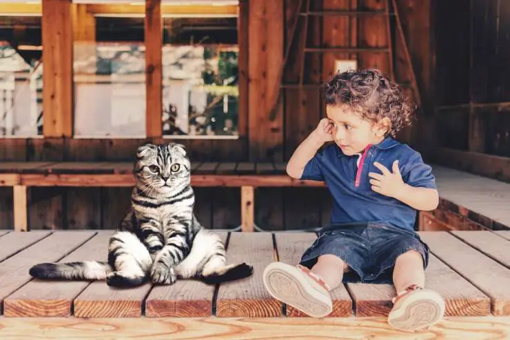 El gato rasca a los niños