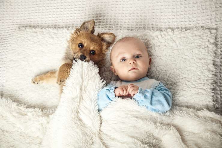 recién nacido y perro en la cama