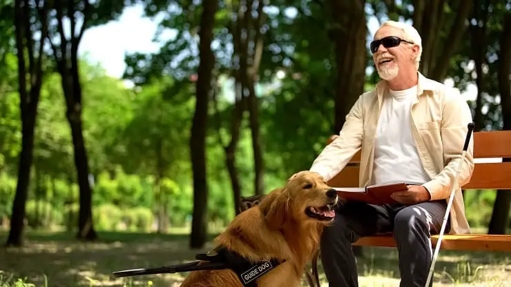 Día Nacional del Perro Guía