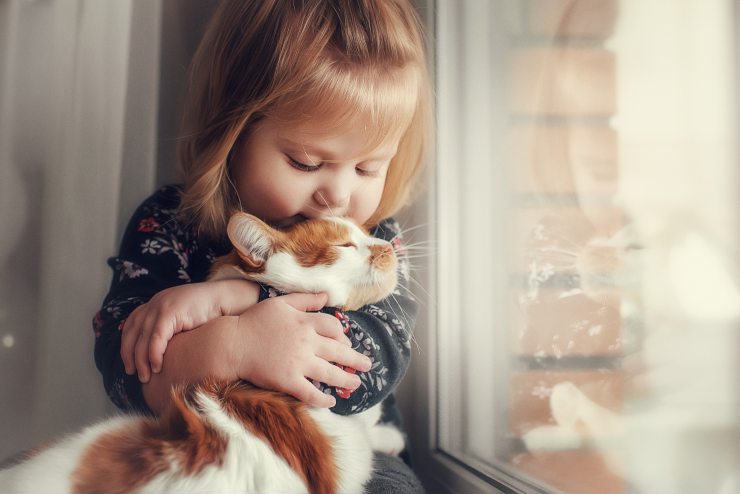 El gato rasca a los niños