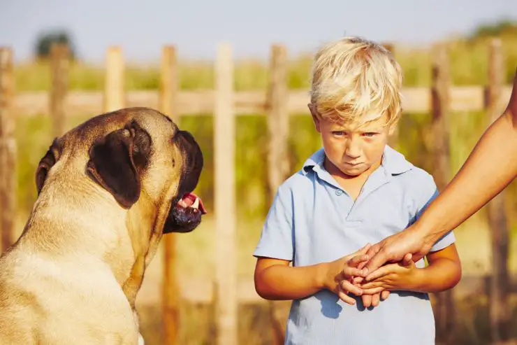 El perro ataca a los niños