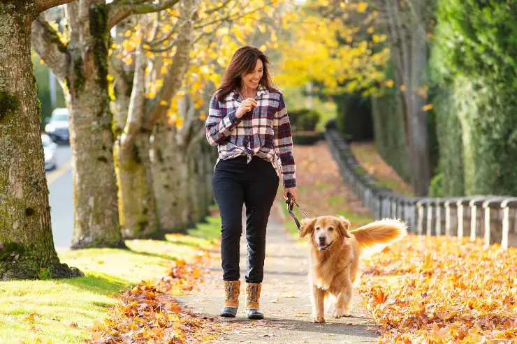 el perro ayuda a adelgazar