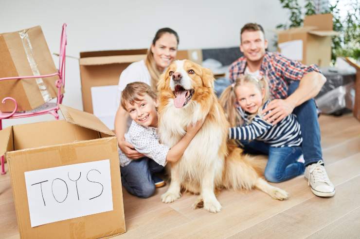 perro presentado a la familia perro nuevo en la casa