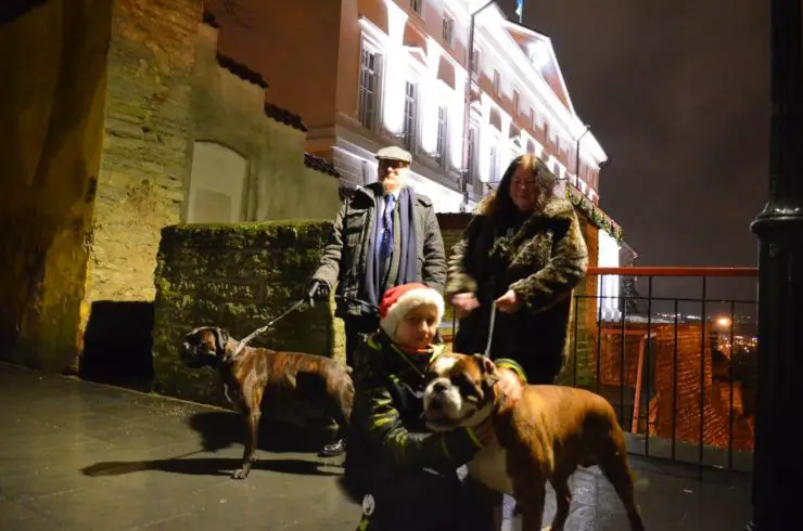 traer perro por la noche