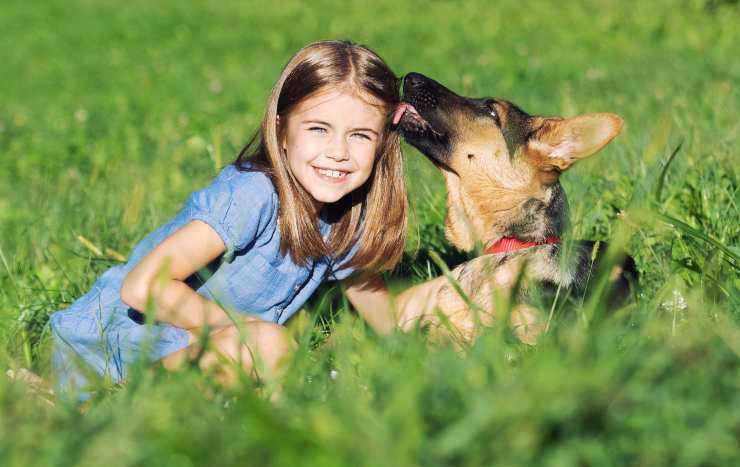 ¿Por qué los perros juegan y se tiran del pelo?