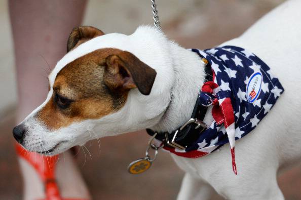 Los candidatos a la alcaldía de Los Ángeles van a las urnas el día de las elecciones