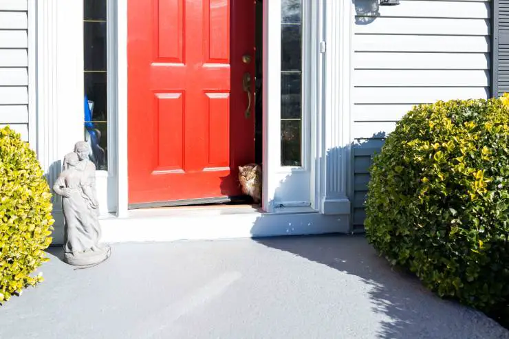El gato espera al amo en la puerta. El gato espera al amo en la puerta.