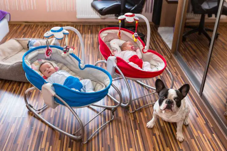 Los perros protegen a los niños Los perros protegen a los niños
