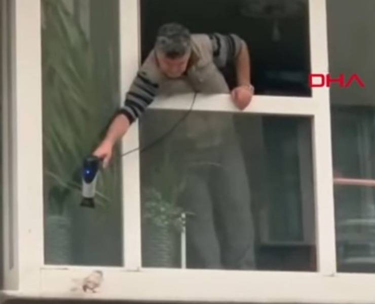 paloma calentada con secador de pelo