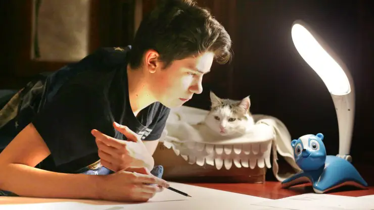 niño con gato adulto: un gatito adulto el gatito ya ha crecido