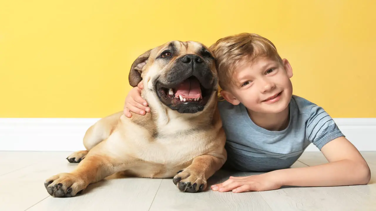 Perros y niños: ¿crecer juntos reduce el riesgo de esquizofrenia? (Foto de Adobe Stock)