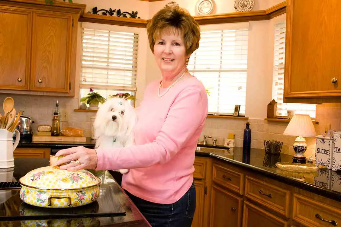 perro en la cocina
