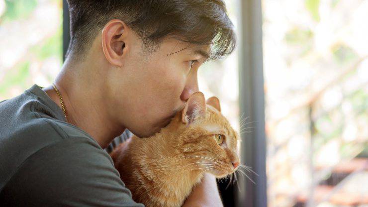 El carácter del gato depende del dueño. El carácter del gato depende del dueño.