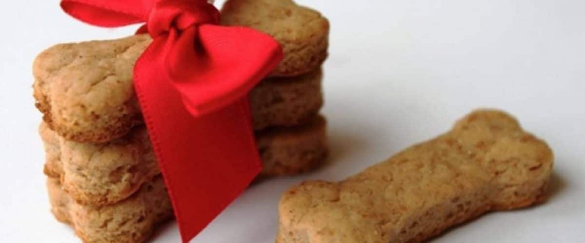 Galletas para perros, receta casera rápida y fácil ️ Vida con Mascotas ️