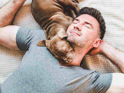 amor perro hombre