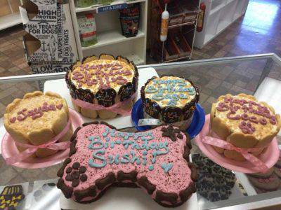 pasteles dulces para perros