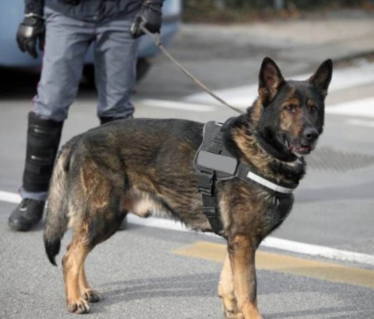 policía2